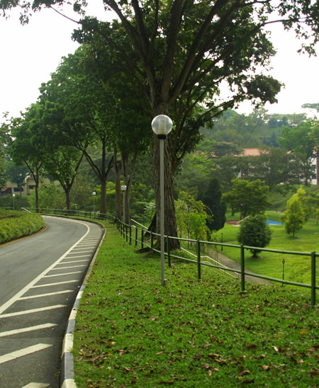 Singapore University