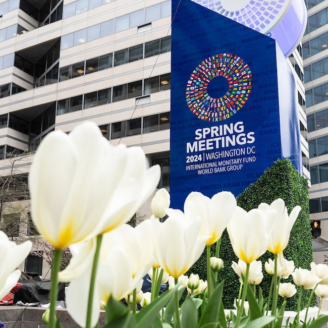 IMF Spring Meetings