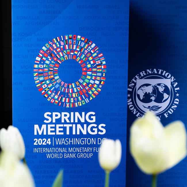 IMF Spring Meetings